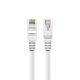 Cavo Internet Universale CAT6 RJ45 (5 m) COOL