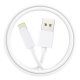 Network Charger for iPhone COOL 2 x USB + Lightning Cable 1.2m (2.4 Amp)